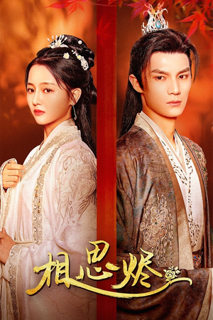 相思烬(62集) 相思烬(62集)短剧在线更新