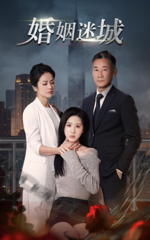 新:婚姻迷城(60集) 新:婚姻迷城(60集)全集在线看