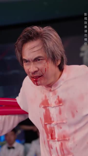 宗师(60集) 宗师(60集)真的太精彩了