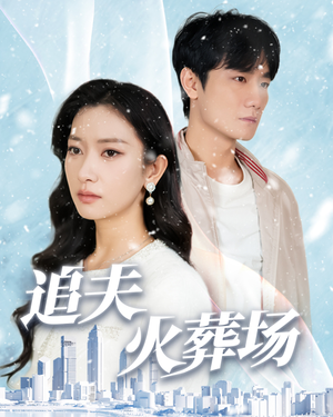 追夫火葬场(31集) 追夫火葬场(31集)迅雷网盘观看