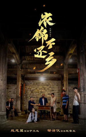 衣锦不还乡(69集) 衣锦不还乡(69集)精彩短剧天天看