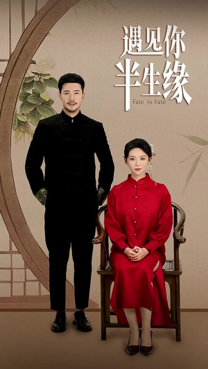 遇见你半生缘(65集) 遇见你半生缘(65集)短剧解说全集