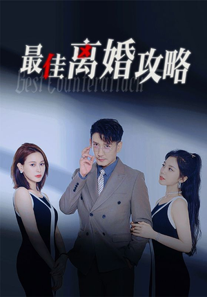 最佳离婚攻略(31集) 最佳离婚攻略(31集)真的好看吗