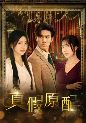 真假原配(35集) 真假原配(35集)剧情简介