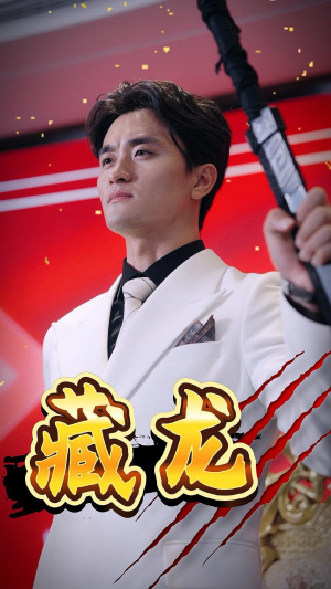 藏龙(30集) 藏龙(30集)短剧演员排行榜