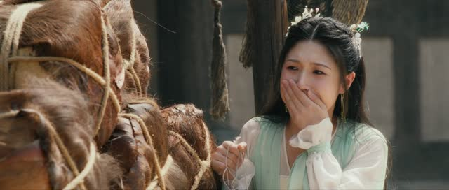 云天悬明月(24集) 云天悬明月(24集)免费看全集