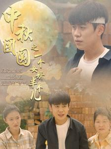 中秋团圆之一个女婿半个儿（33集）完整版