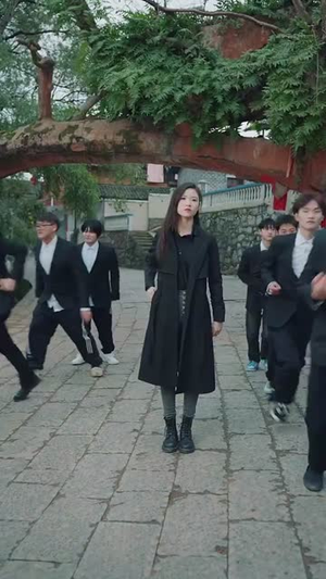 乡村卧龙(88集) 乡村卧龙(88集)精彩短剧天天看