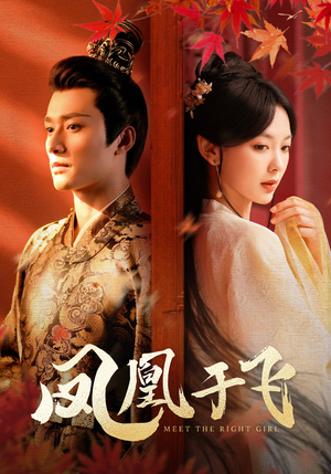 凤凰于飞(79集) 凤凰于飞(79集)看到大结局