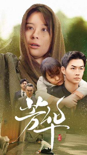 芳华(80集) 芳华(80集)短剧小说在线看