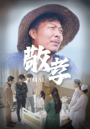 敬孝(61集) 敬孝(61集)追风的女孩短剧