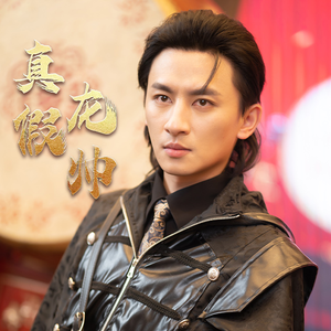 真假龙帅(81集) 真假龙帅(81集)爆款短剧抢先看