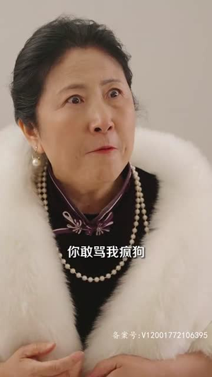 3.风起时见你(93集) 3.风起时见你(93集)全剧免费观看