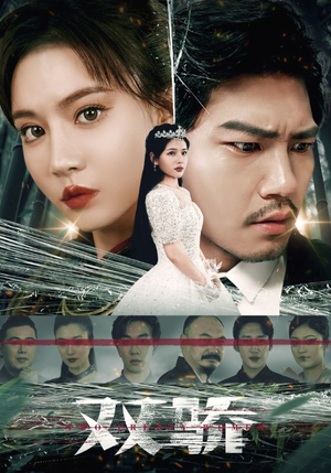 双骄（66集）短剧追不停