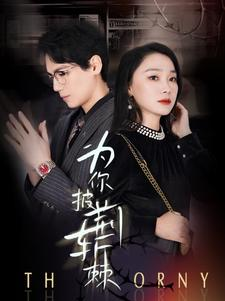 为你披荆斩棘(90集) 为你披荆斩棘(90集)精彩的短剧