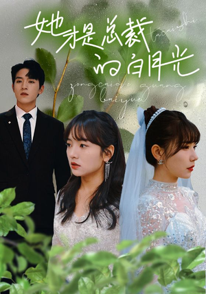 她才是总裁的白月光(90集) 她才是总裁的白月光(90集)短剧