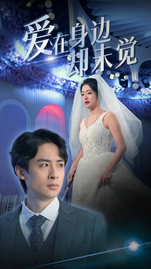 爱在身边却未觉(82集) 爱在身边却未觉(82集)最后的大结局