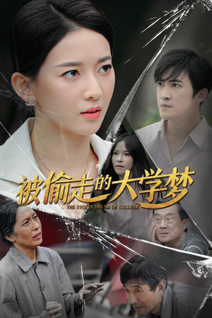 被偷走的大学梦(71集) 被偷走的大学梦(71集)免费看全集