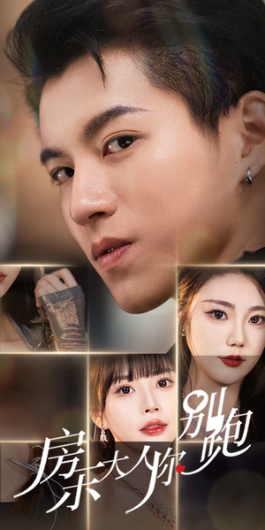 房东大人你别跑（77集）精彩热门短剧