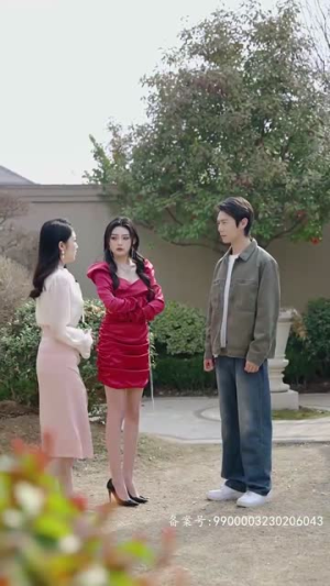 我被未婚妻包围了(94集) 我被未婚妻包围了(94集)全集一次看完