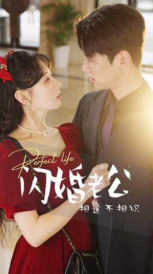 闪婚老公相逢不相识(90集) 闪婚老公相逢不相识(90集)超火短剧抢先看