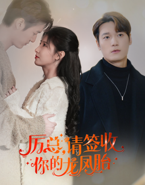 历总,请签收你的龙凤胎(69集) 历总,请签收你的龙凤胎(69集)短剧全集免费看