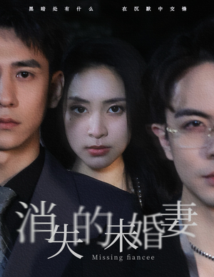 消失的未婚妻(82集) 消失的未婚妻(82集)超好看短剧推荐