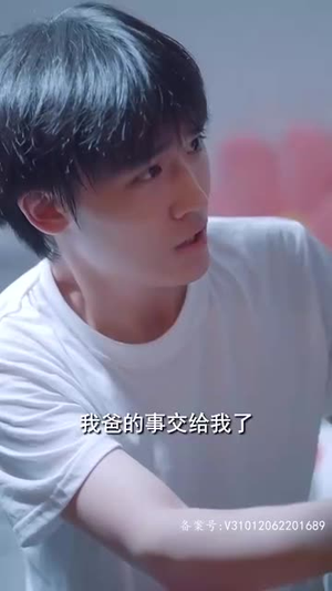 完美人生(83集) 完美人生(83集)精彩好看短剧