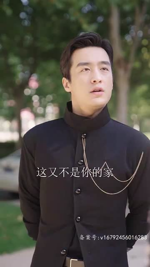 枭龙（60集）热播短剧推荐