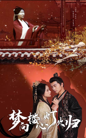 梦向楼心灯火归(37集) 梦向楼心灯火归(37集)爱短剧爱追剧
