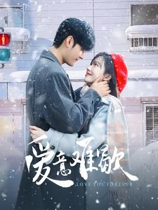 爱意难歇(99集) 爱意难歇(99集)解说