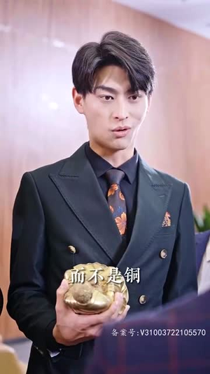 震惊网购买到绝世神章(90集) 震惊网购买到绝世神章(90集)好看吗