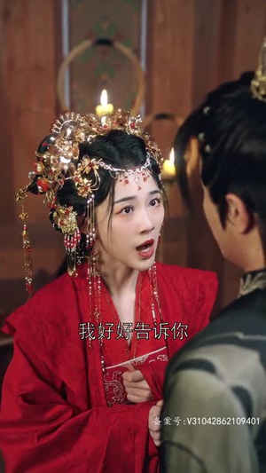 纵使相逢应不识（91集）口碑之选免费看