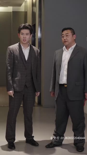 磐龙(94集) 磐龙(94集)免费观看