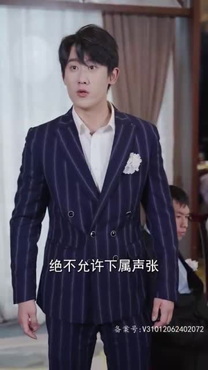 新版:君临(90集) 新版:君临(90集)第一季