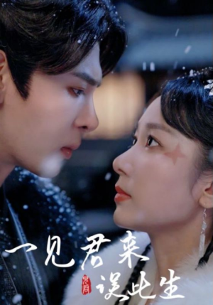 一见君来误此生（95集）在线免费观影