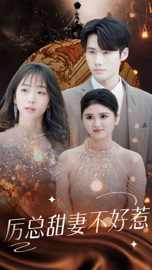 历总前妻不好惹(75集) 历总前妻不好惹(75集)百度网盘资源