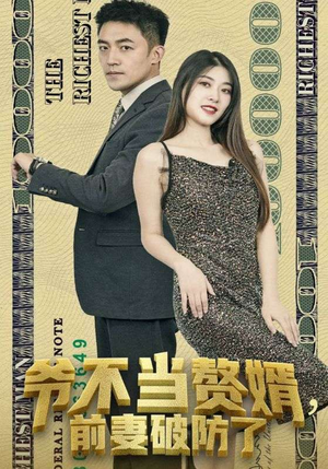 爷不当赘婿,前妻破防了(80集) 爷不当赘婿,前妻破防了(80集)解说