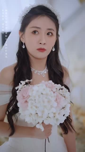 不要招惹舒小姐(101集) 不要招惹舒小姐(101集)免费版