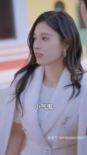 你是我的爱情VIP（100集）经典老剧免费看