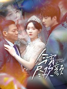 今宵尽欢颜(99集) 今宵尽欢颜(99集)在线看免费版