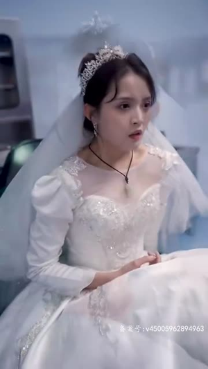 繁花似锦（82集）精彩短剧天天看