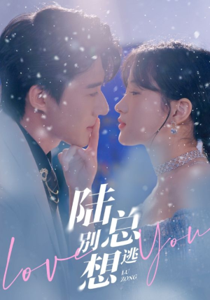 陆总别想逃(80集) 陆总别想逃(80集)超火热门短剧