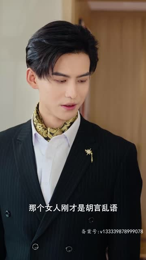 闪婚老公是仙君(100集) 闪婚老公是仙君(100集)精彩好看短剧