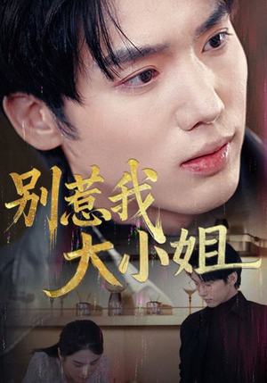 别惹我大小姐（40集）热播短剧来袭