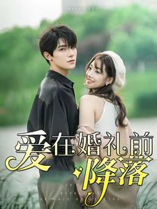 爱在婚礼前降落(50集) 爱在婚礼前降落(50集)最新热剧免费看