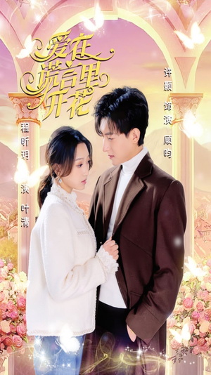 爱在谎言里开花(80集) 爱在谎言里开花(80集)第一季