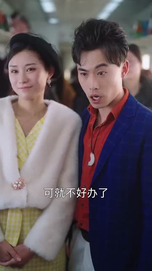 春运归途团圆年(40集) 春运归途团圆年(40集)在线看