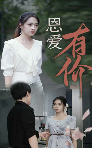 恩爱有价(31集) 恩爱有价(31集)短剧解说全集