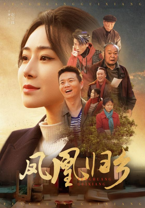 凤凰归乡(33集) 凤凰归乡(33集)小短剧抢先看